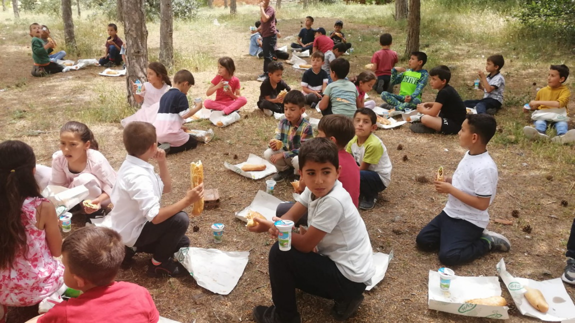 Okulumuzda Piknik Etkinliği Yapıldı.